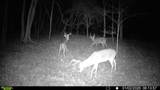 394 Young Hollow Rd - Photo 66