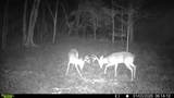 394 Young Hollow Rd - Photo 68