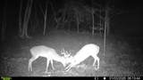 394 Young Hollow Rd - Photo 69