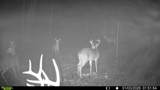 394 Young Hollow Rd - Photo 70