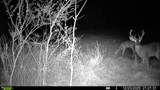 394 Young Hollow Rd - Photo 71