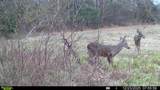 394 Young Hollow Rd - Photo 72