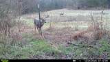 394 Young Hollow Rd - Photo 73
