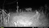 394 Young Hollow Rd - Photo 74