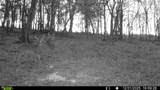 394 Young Hollow Rd - Photo 75
