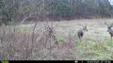 394 Young Hollow Rd - Photo 76