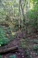 0 Woodly Branch Rd - Photo 8