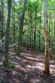 0 Woodly Branch Rd - Photo 9