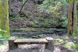 0 Woodly Branch Rd - Photo 10