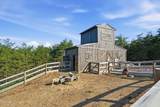 244 Jolene Way - Photo 14