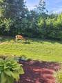 1648 Foston Ln - Photo 30