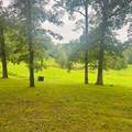 1030 Stones Rd - Photo 13