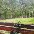 1030 Stones Rd - Photo 18