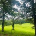 1030 Stones Rd - Photo 20
