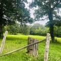 1030 Stones Rd - Photo 21