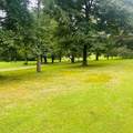 1030 Stones Rd - Photo 5