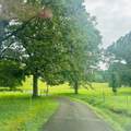 1030 Stones Rd - Photo 7