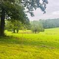 1030 Stones Rd - Photo 10