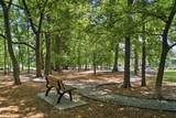 208 Moray Ct - Photo 76