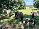 2837 Hopkins Bridge Rd - Photo 37