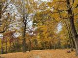2837 Hopkins Bridge Rd - Photo 38