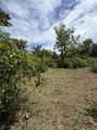 0 Woodbury Pike - Photo 4