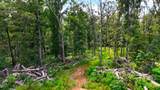 5 Hickory Ln - Photo 16