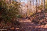 4903 Long Rifle Rd - Photo 12