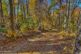 2000 E Millers Cove Rd - Photo 44