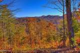 2000 E Millers Cove Rd - Photo 49