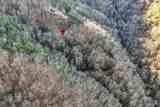67 Balsam Slopes Road - Photo 12