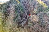 67 Balsam Slopes Road - Photo 13