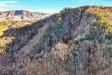 67 Balsam Slopes Road - Photo 14