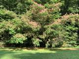 67 Balsam Slopes Road - Photo 24