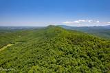 0 Butterfly Gap Rd - Photo 1