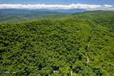 0 Butterfly Gap Rd - Photo 6