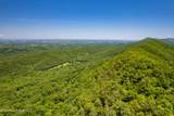 0 Butterfly Gap Rd - Photo 9