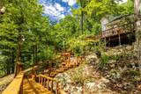 4839 Butterfly Gap Rd - Photo 9