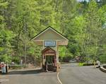 3341 Sugar Maple Loop Road - Photo 69