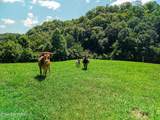 3000 Upper Caney Valley Rd - Photo 31