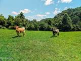 3000 Upper Caney Valley Rd - Photo 53
