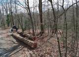 1170 Ella Dr - Photo 4
