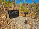 2580 Black Bear Ln - Photo 9