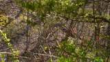 912 Cooley King Road - Photo 4