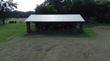 903 Old Estill Springs Rd - Photo 14
