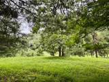 564 Dry Branch Road - Photo 5