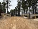5923 Old Hohenwald Rd - Photo 6