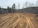 5923 Old Hohenwald Rd - Photo 7