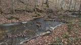 5923 Old Hohenwald Rd - Photo 8