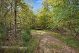 10878 Highway 7 - Photo 31